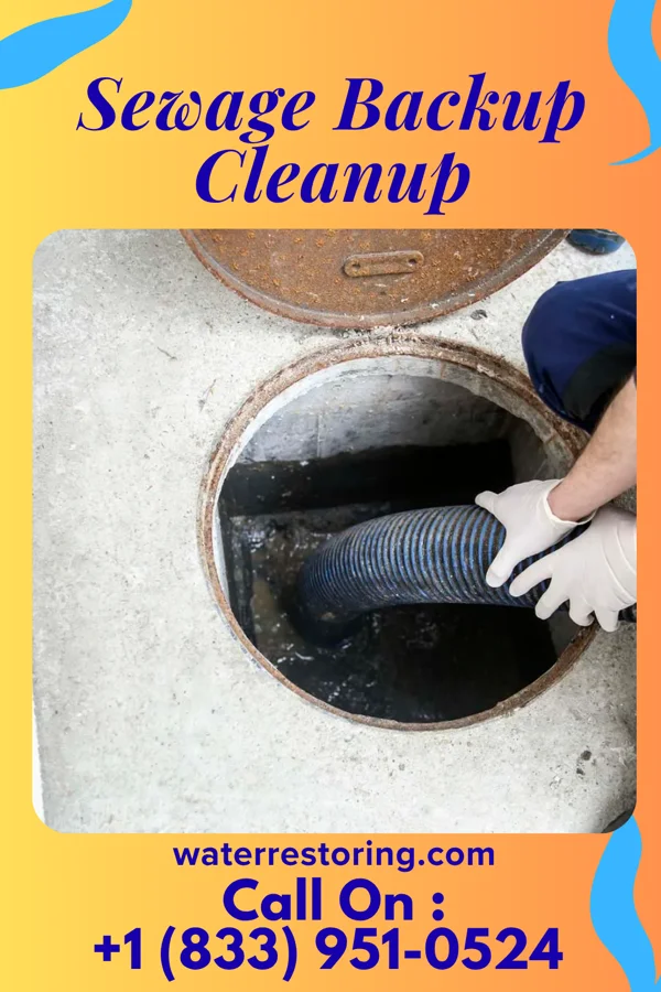 Sewage Backup Cleanup in St. Pauls, NC