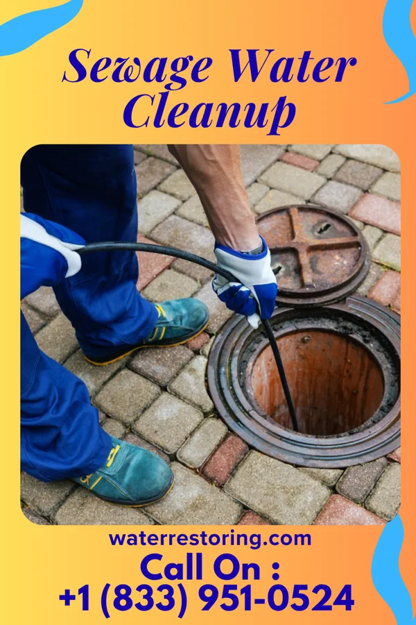 Sewage Water Cleanup in St. Pauls, NC