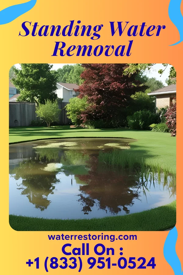 Standing Water Removal in St. Pauls, NC